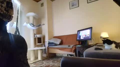 nessieanalemma online show from February 2026 08:34:02 AM