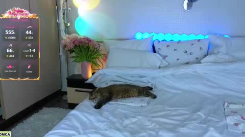 Snapshot of nevergiveup_1 chatting on March 2026 12:08:01 PM never give up online show from March 2026 12:08:01 PM