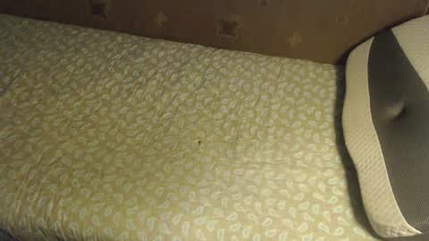 Lilly  online show from October 2025 03:40:02 AM