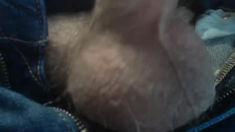 ni983 online show from December 2024 09:09:01 AM