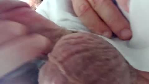 TheCock online show from December 2024 03:05:02 AM