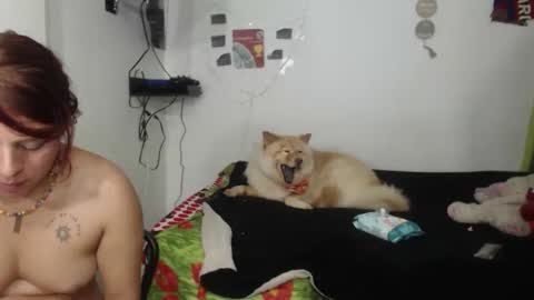 Nickyandcam online show from April 2026 12:48:02 AM