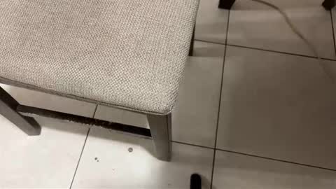 Carlos Nico online show from March 2026 08:31:01 AM