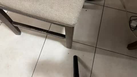 Snapshot of nicocar83pty chatting on February 2026 08:26:01 AM Carlos Nico online show from February 2026 08:26:01 AM