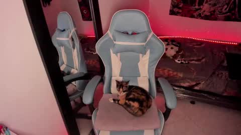 Nicol independent model online show from January 2025 02:29:02 AM