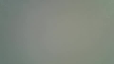 night__light online show from December 2025 04:00:02 AM