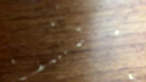 Snapshot of nightmoves1970 chatting on November 2025 02:34:02 AM nightmoves1970 online show from November 2025 02:34:02 AM