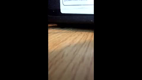 Snapshot of nightmoves1970 chatting on December 2025 01:00:01 AM nightmoves1970 online show from December 2025 01:00:01 AM