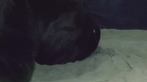 Watch us Fuck online show from March 2025 05:07:01 AM