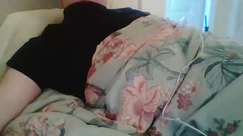 Nijinsky11 online show from February 2026 04:47:02 PM