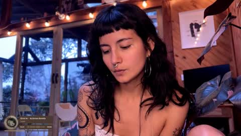 Nina.  online show from February 2026 09:24:02 PM