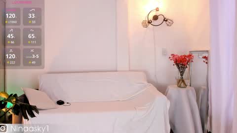 Snapshot of ninaa_sky chatting on December 2024 06:39:01 PM    online show from December 2024 06:39:01 PM