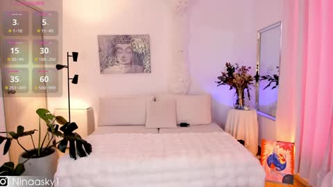 Snapshot of ninaa_sky chatting on January 2025 01:04:01 PM    online show from January 2025 01:04:01 PM