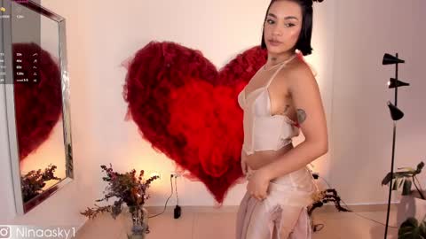 Snapshot of ninaa_sky chatting on February 2025 10:58:01 PM    online show from February 2025 10:58:01 PM