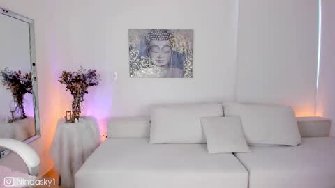 Snapshot of ninaa_sky chatting on February 2025 12:47:01 PM    online show from February 2025 12:47:01 PM