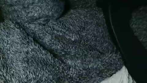 Snapshot of nineinchhard chatting on November 2025 12:19:02 PM nineinchhard online show from November 2025 12:19:02 PM