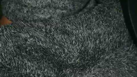 Snapshot of nineinchhard chatting on December 2025 09:25:01 AM nineinchhard online show from December 2025 09:25:01 AM