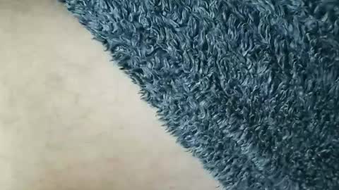 Snapshot of nineinchhard chatting on January 2026 12:10:02 PM nineinchhard online show from January 2026 12:10:02 PM