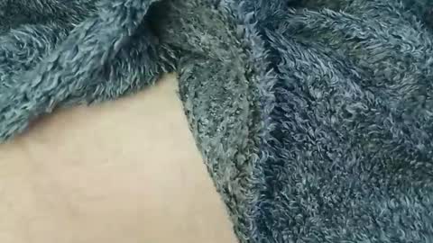 Snapshot of nineinchhard chatting on February 2026 10:35:01 AM nineinchhard online show from February 2026 10:35:01 AM