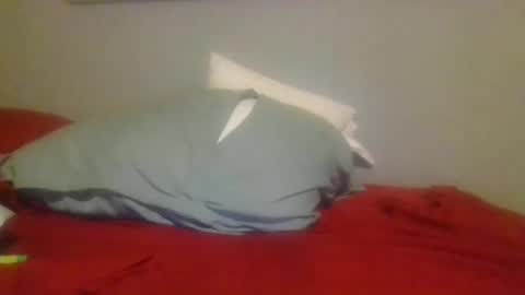 Snapshot of ninjamonkey23 chatting on January 2025 12:01:01 AM ninjamonkey23 online show from January 2025 12:01:01 AM