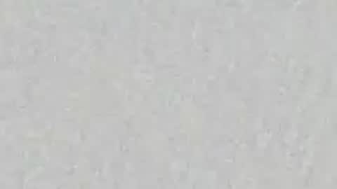 Noa  online show from June 2026 11:34:01 AM