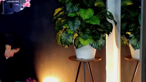 Noah  online show from April 2026 03:23:02 AM