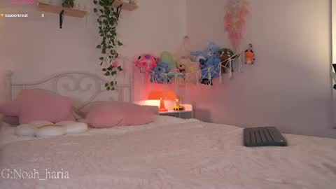 Snapshot of noah__23 chatting on June 2026 12:08:01 AM noah__23 online show from June 2026 12:08:01 AM