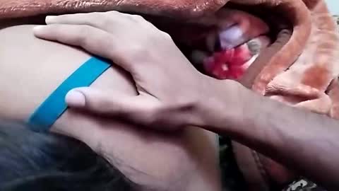 sim  nib online show from December 2024 06:52:01 AM