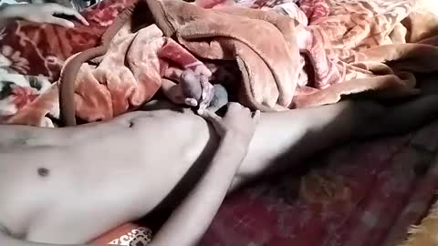 sim  nib online show from January 2025 06:38:01 AM