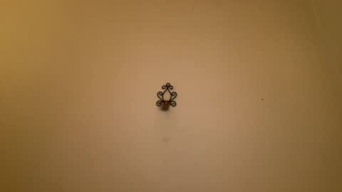 Snapshot of noscandal chatting on February 2025 12:16:01 AM noscandal online show from February 2025 12:16:01 AM