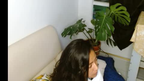 Snapshot of novaperotti chatting on October 2025 12:29:01 AM novaperotti online show from October 2025 12:29:01 AM