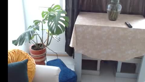 Snapshot of novaperotti chatting on November 2025 06:41:04 PM novaperotti online show from November 2025 06:41:04 PM