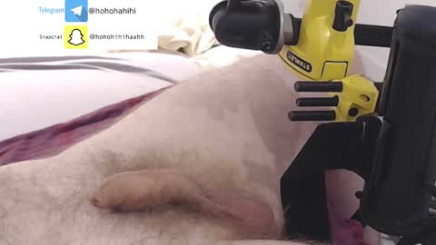 Snapshot of nuche99 chatting on November 2025 06:21:01 PM nuche99 online show from November 2025 06:21:01 PM