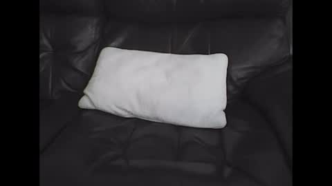 Snapshot of nudestud887 chatting on February 2025 02:41:01 PM nudestud887 online show from February 2025 02:41:01 PM