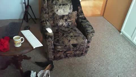 Strumpfhose online show from November 2025 08:48:02 AM