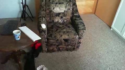 Strumpfhose online show from November 2025 09:01:02 AM