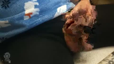 o0okukito0o online show from January 2025 10:33:01 PM