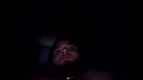 Snapshot of obsidian3342alpha chatting on December 2024 04:47:02 AM obsidian3342alpha online show from December 2024 04:47:02 AM