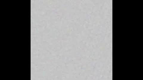 Obsidian stallion online show from October 2025 02:53:01 AM