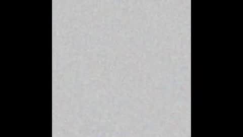 Obsidian stallion online show from January 2026 11:43:02 PM