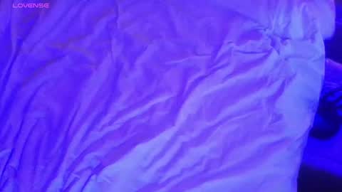 obviousproduct online show from July 2026 02:53:02 AM