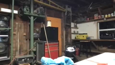 Snapshot of ofthatguy chatting on March 2026 08:19:01 AM ofthatguy online show from March 2026 08:19:01 AM