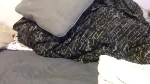 OGDigBick online show from January 2026 02:21:02 PM