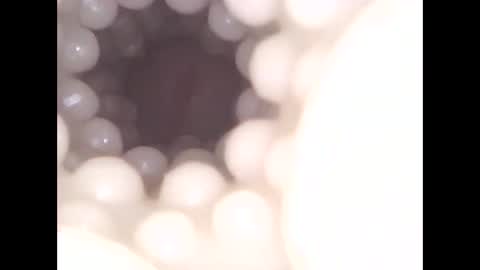 ohioguy4201985 online show from April 2026 01:05:01 PM