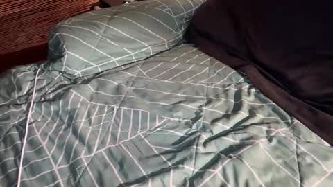 ohyea online show from March 2026 02:41:02 AM