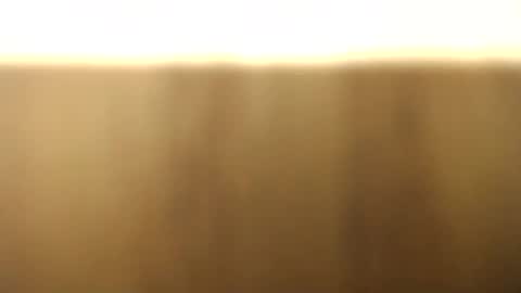 okoro1212 online show from November 2025 01:08:02 AM