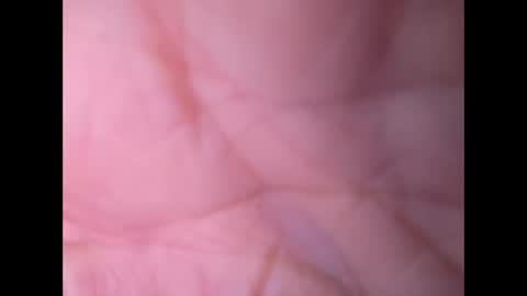 oldaddy2 online show from September 2025 07:10:02 AM