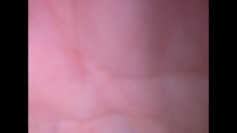 oldaddy2 online show from February 2026 12:46:01 PM