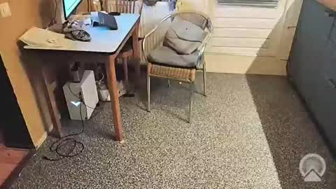 oldersagger online show from November 2025 04:18:02 PM