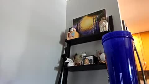 Snapshot of omgitsdon chatting on July 2026 04:16:02 PM M4STERD0N - SC online show from July 2026 04:16:02 PM
